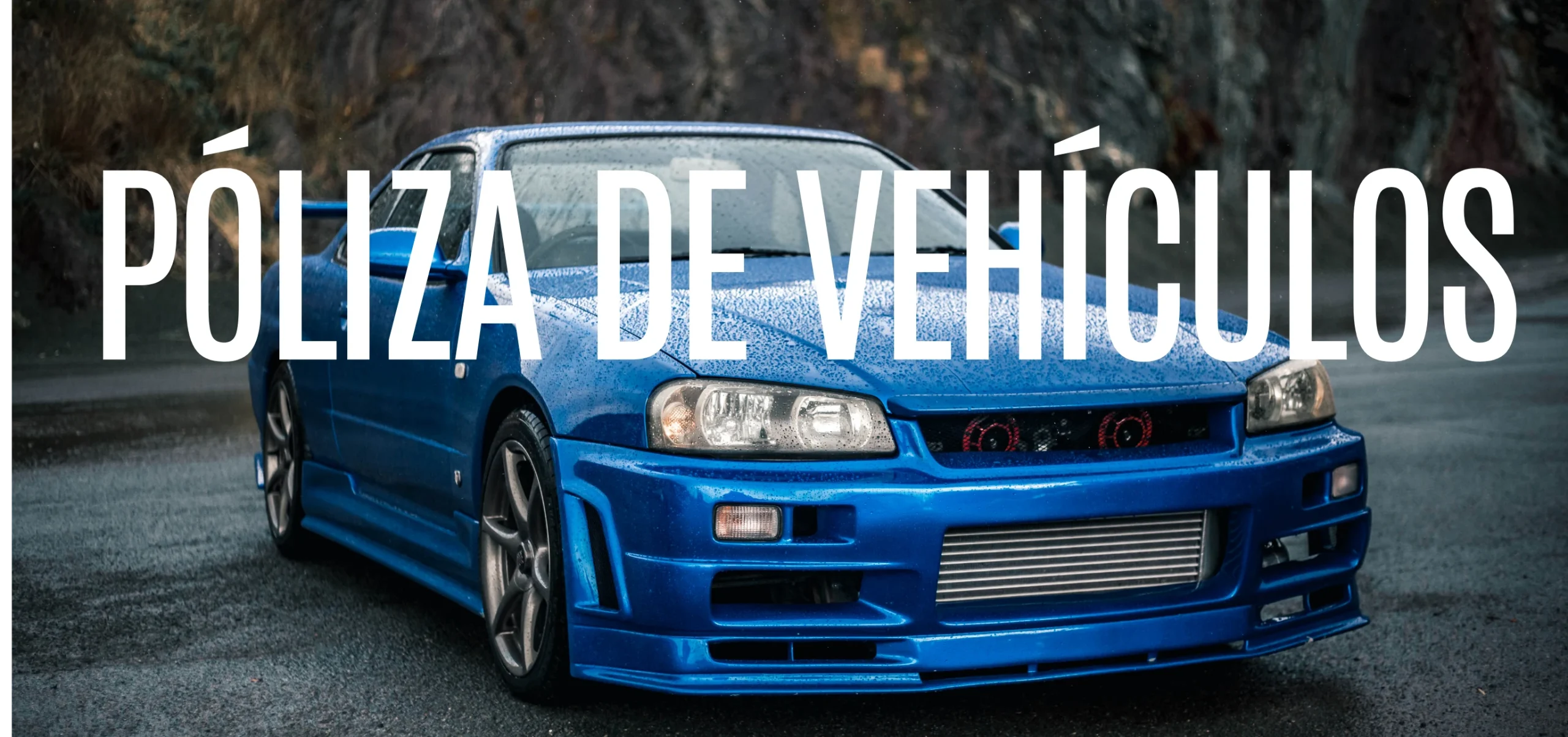 Poliza de Vehiculos - Asegurador - Global